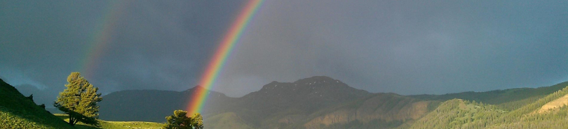 Contao: mit und ohne www erreichbar